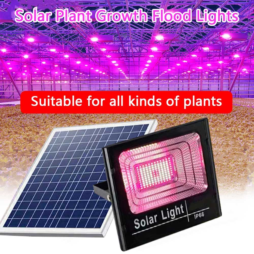 Solar LED Grow Light Full Spec - Outdoor Power And Plant 评论和价格