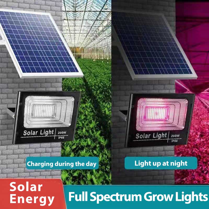 Solar LED Grow Light Full Spec - Outdoor Power And Plant 评论和价格