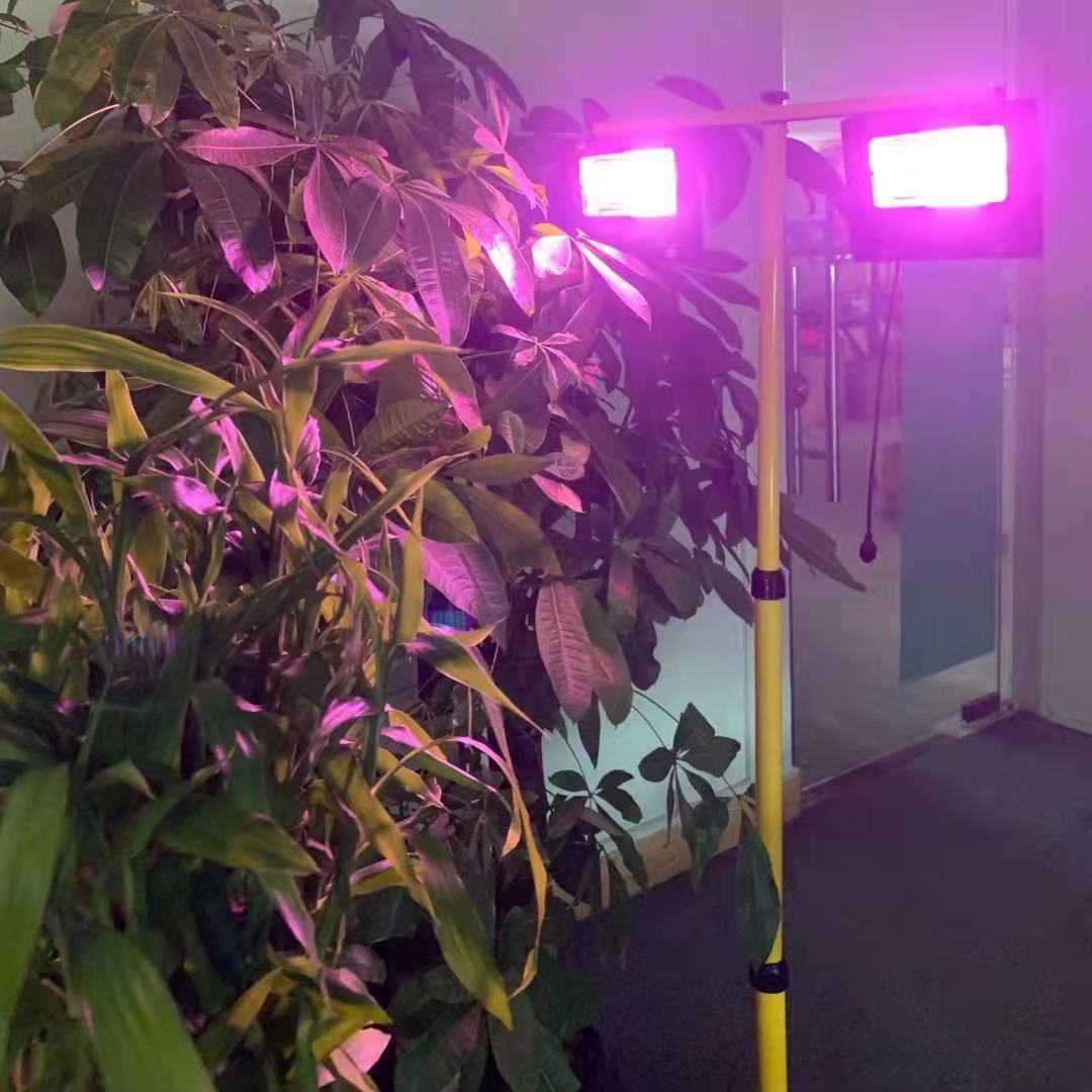Solar LED Grow Light Full Spec - Outdoor Power And Plant 评论和价格