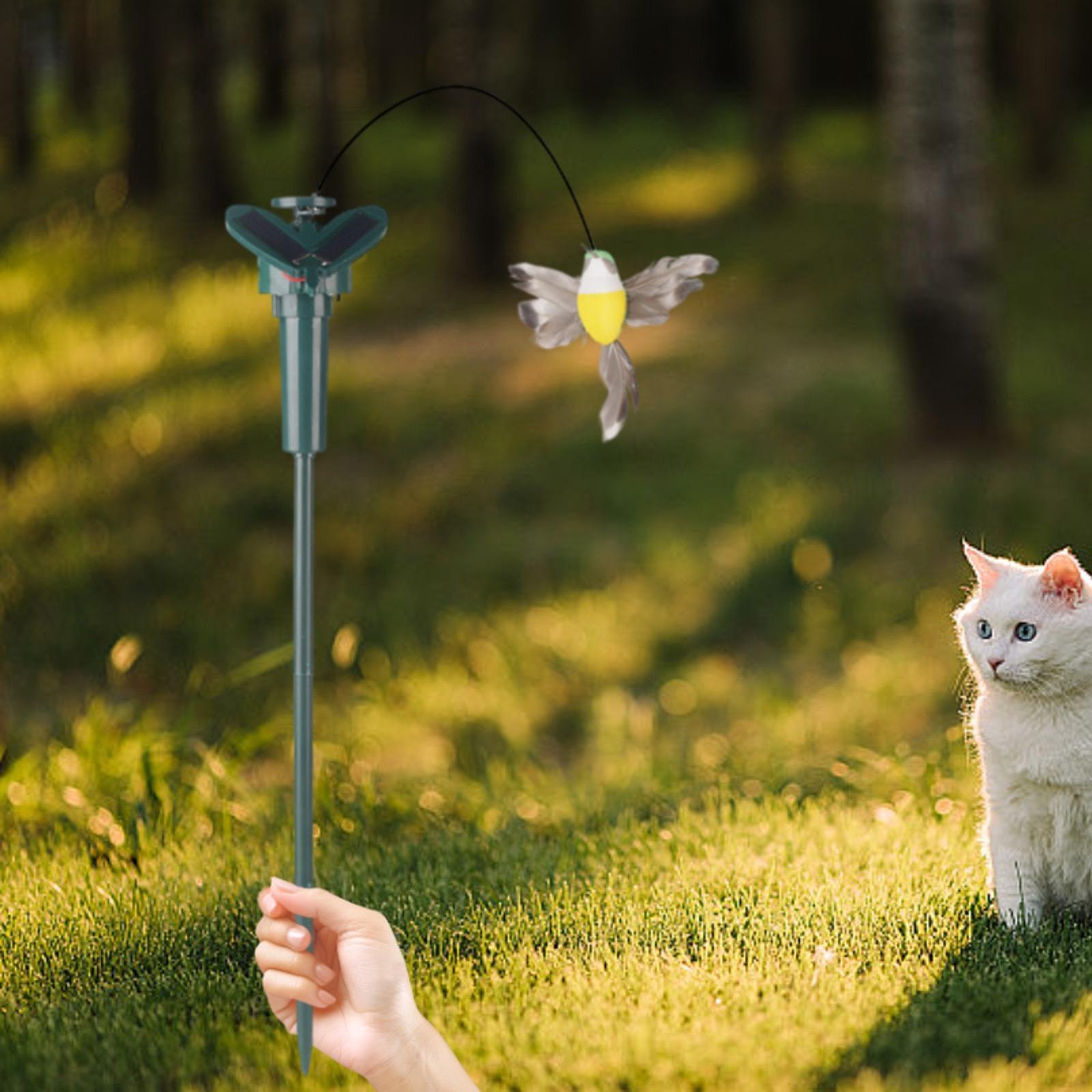 Solar Animal Garden Stake Mult - Outdoor Power For Gazebo 评论和价格