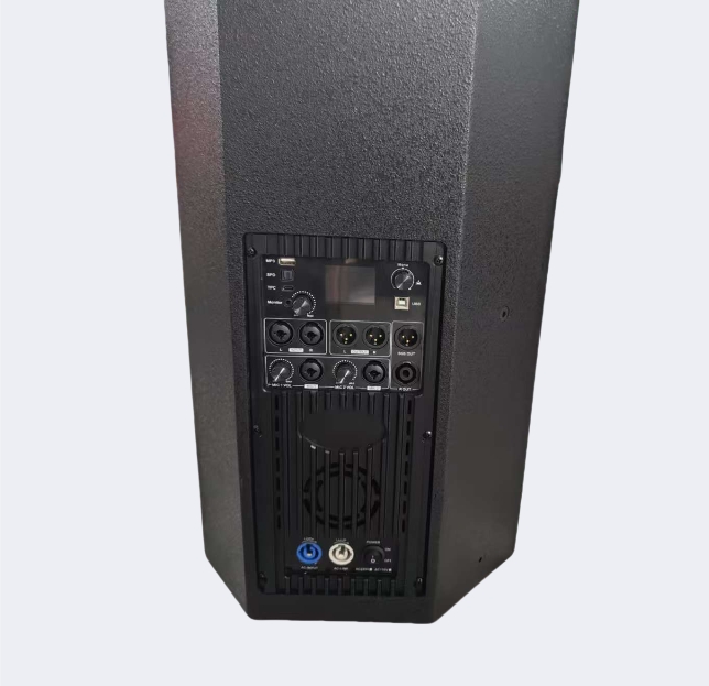 12-Inch Wooden Active Speaker  - Outdoor Power Direct 评论和价格