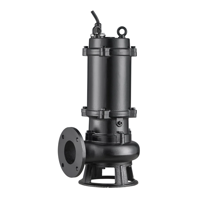 High-Lift Centrifugal Submersi - Water Pump Submersible 评论和价格
