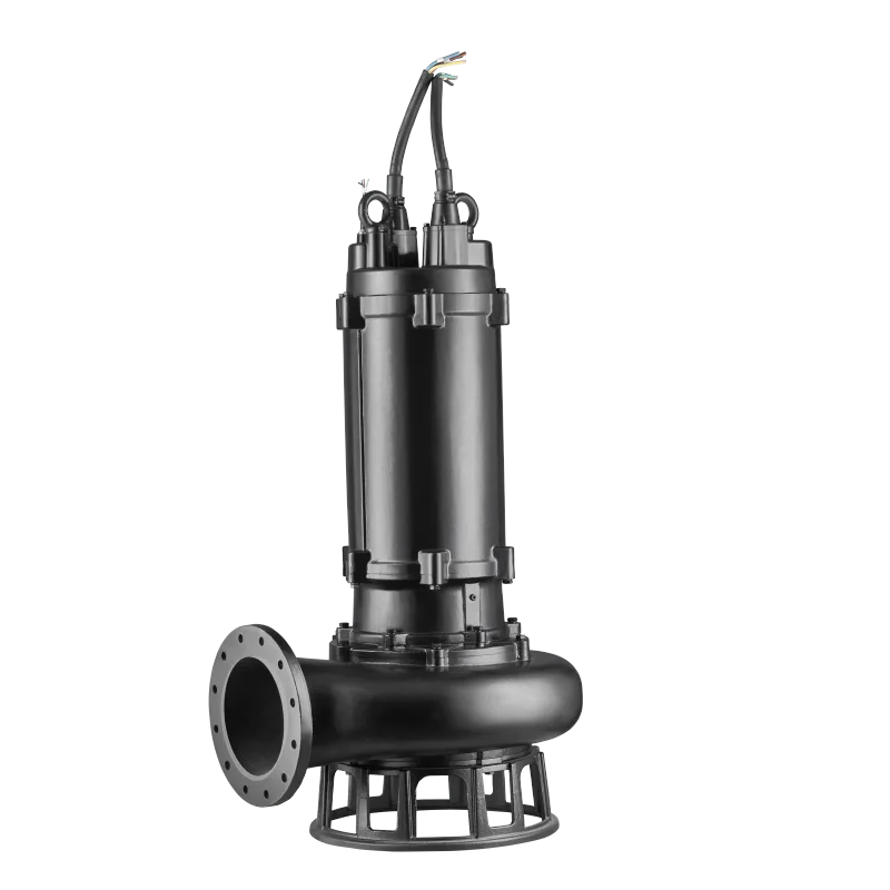 High-Lift Centrifugal Submersi - Water Pump Submersible 评论和价格